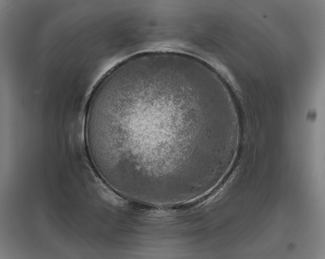 X0000096981224200802151323