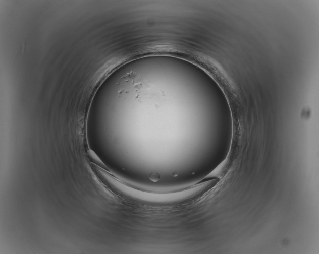 X0000096981225200802151323