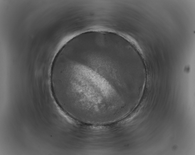 X0000096981231200802151323