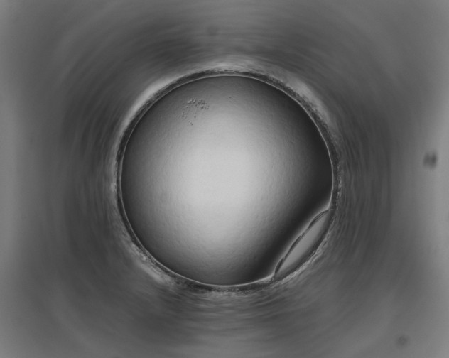 X0000096981232200802151323