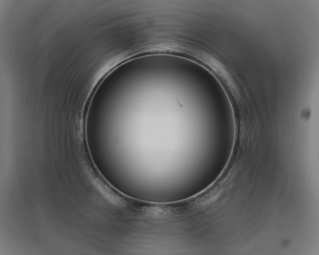 X0000096981234200802151323