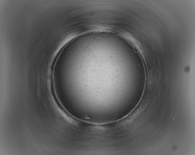 X0000096981235200802151323