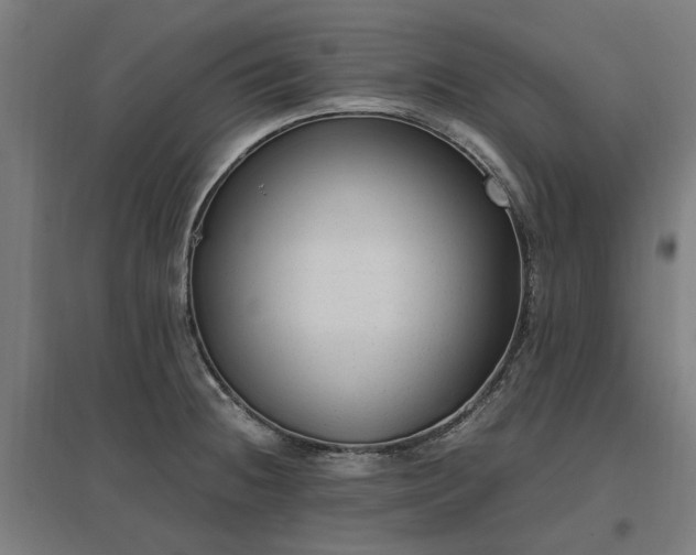 X0000096981236200802151323