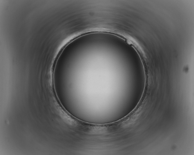 X0000096981238200802151323