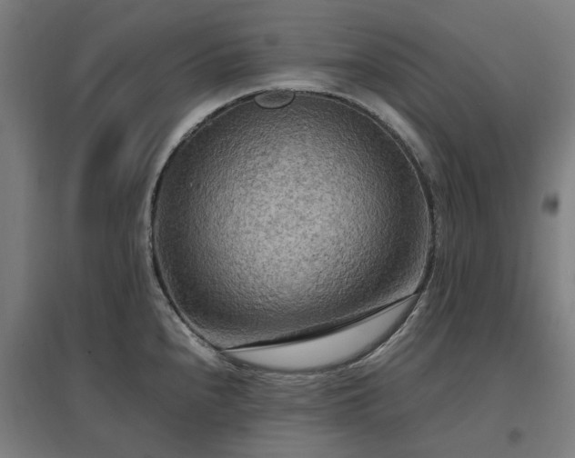 X0000096981240200802151323