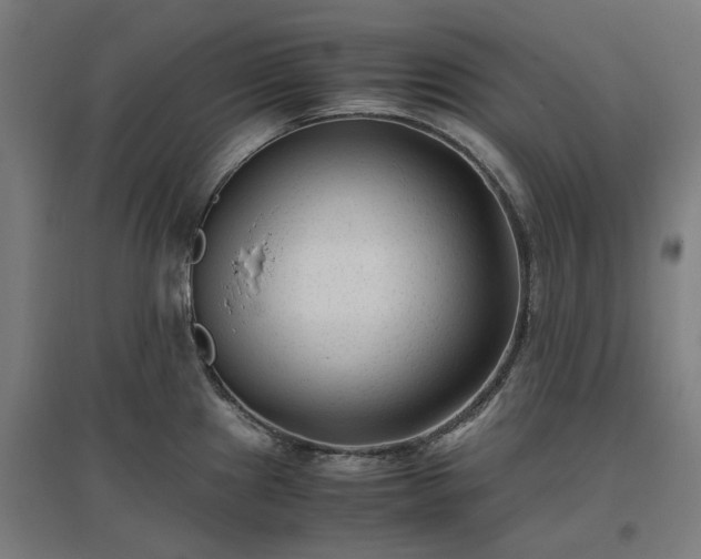 X0000096981241200802151323