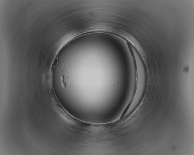 X0000096981242200802151323