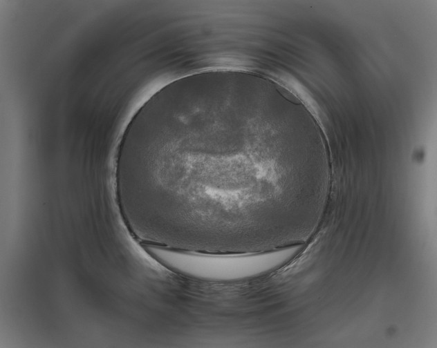 X0000096981243200802151323