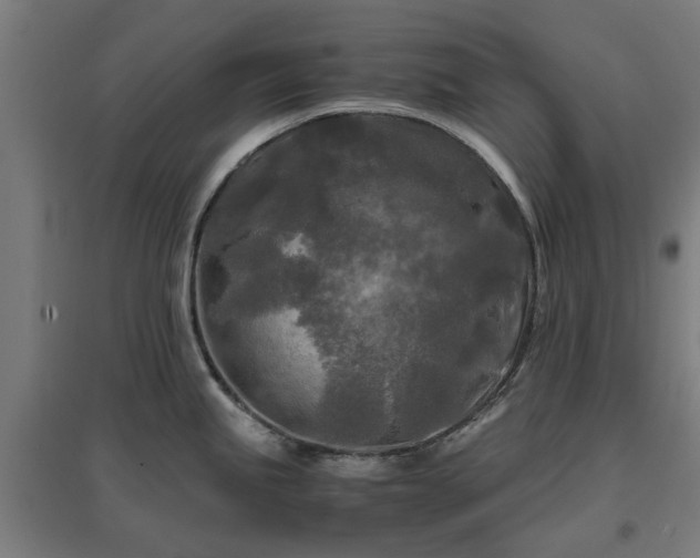 X0000096981245200802151323