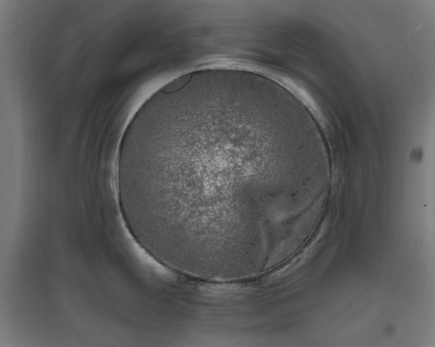 X0000096981247200802151323