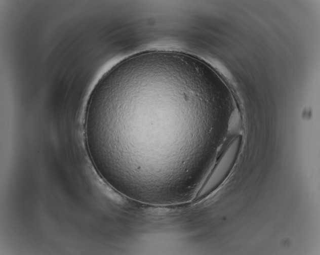 X0000096981248200802151323