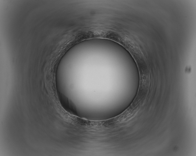 X0000096981249200802151323