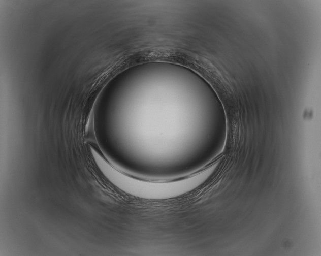 X0000096981250200802151323