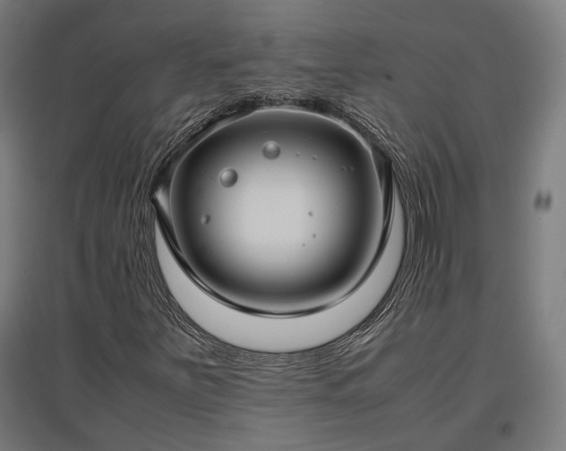 X0000096981251200802151323