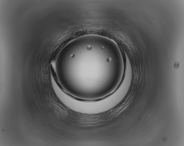 X0000096981252200802151323