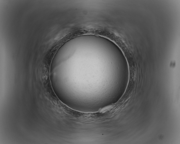 X0000096981253200802151322