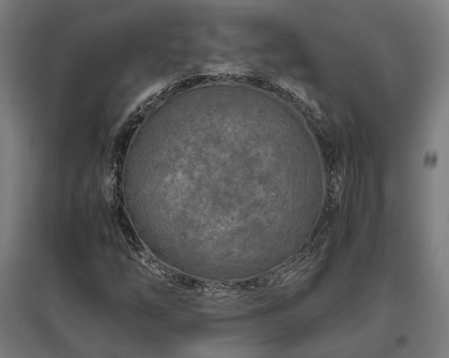 X0000096981254200802151322