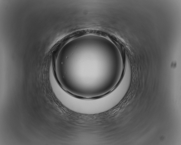 X0000096981255200802151322