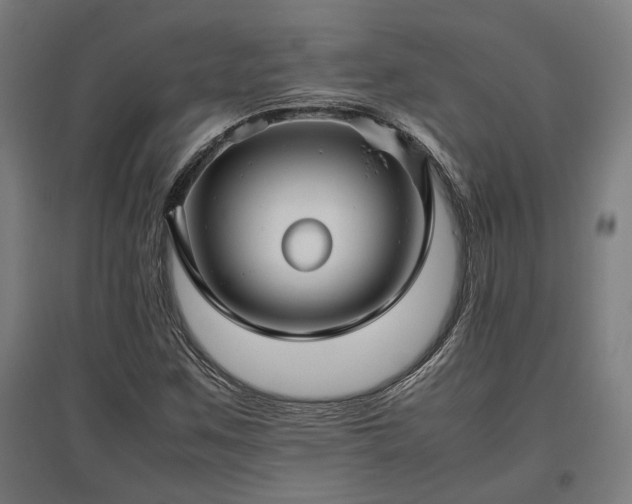 X0000096981259200802151322