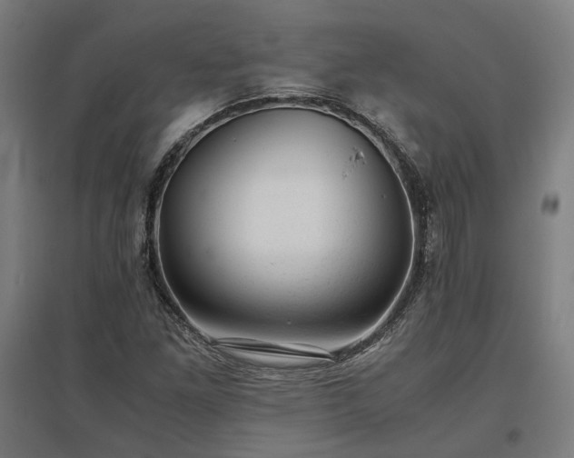 X0000096981261200802151322