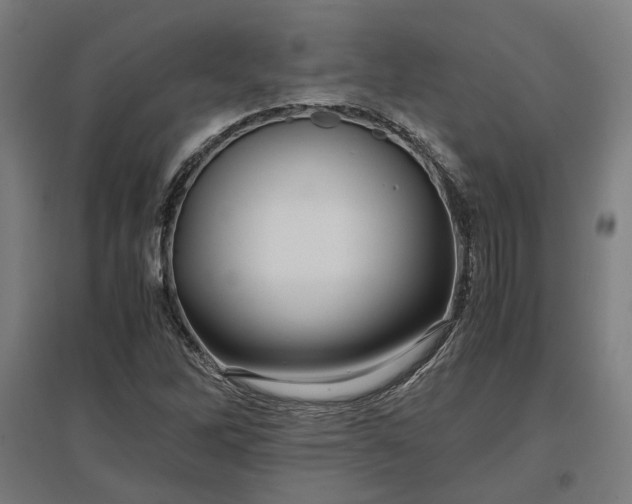X0000096981262200802151322