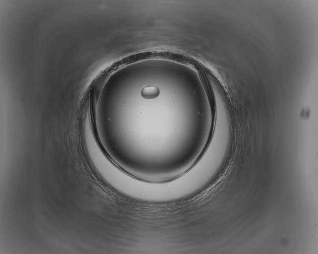 X0000096981263200802151322
