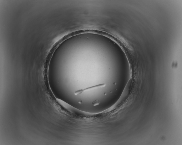 X0000096981264200802151322