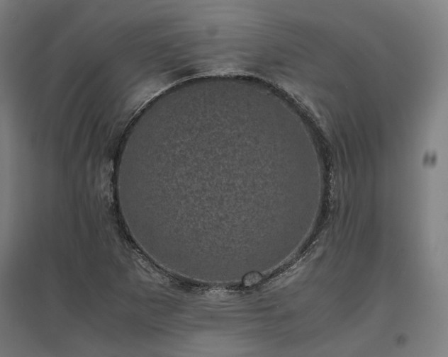 X0000096981265200802151322