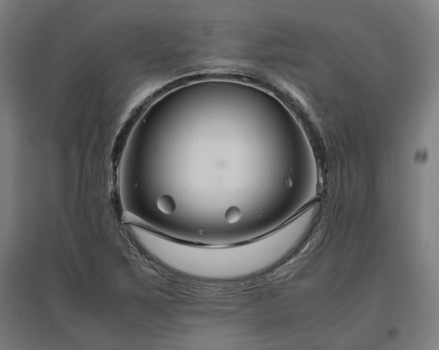 X0000096981267200802151322