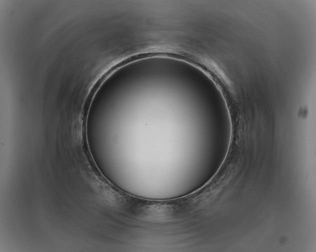X0000096981268200802151322