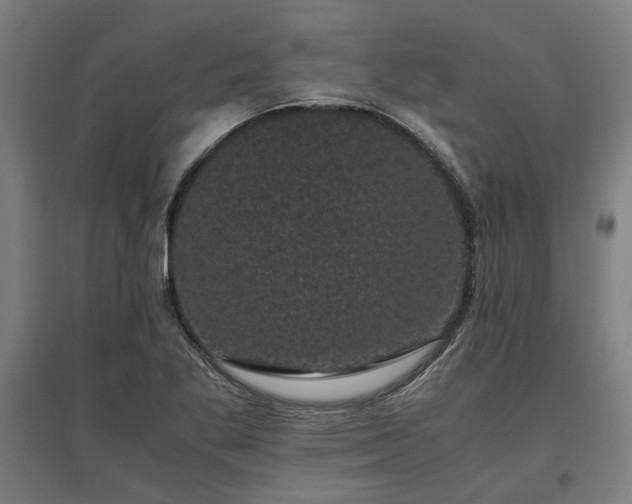 X0000096981269200802151322