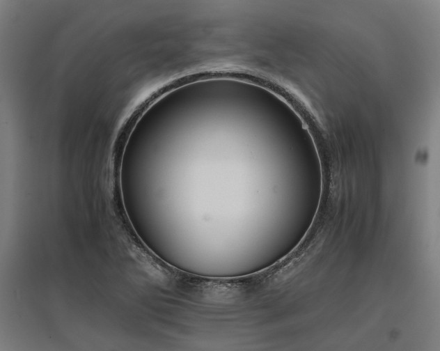 X0000096981270200802151322