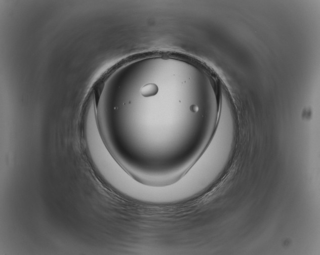 X0000096981271200802151322