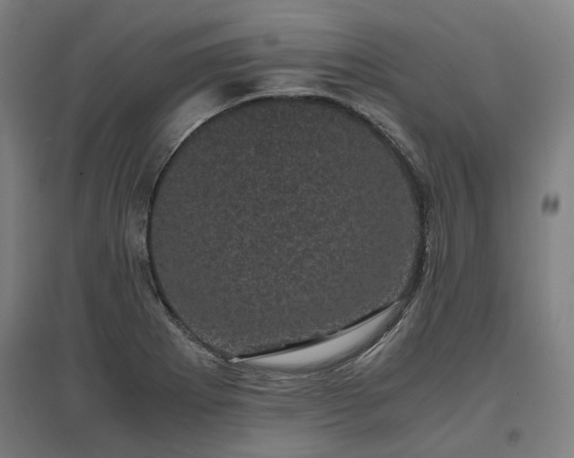 X0000096981273200802151322