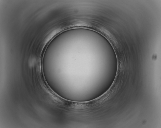 X0000096981274200802151322