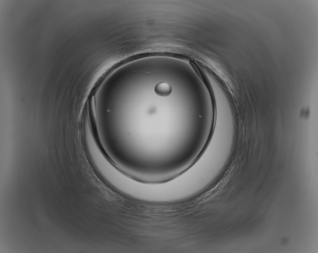 X0000096981275200802151322