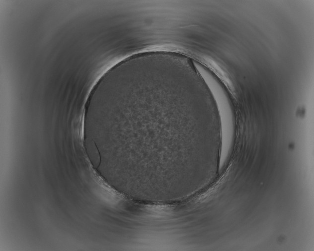 X0000096981276200802151322