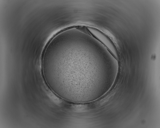 X0000096981280200802151322