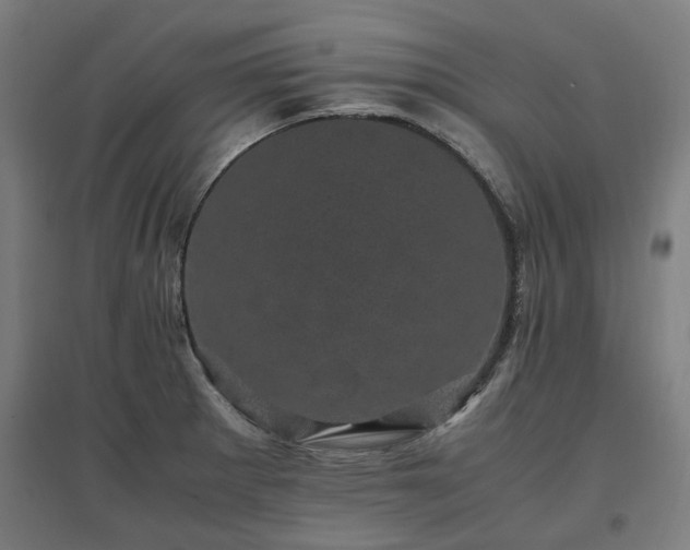 X0000096981281200802151322