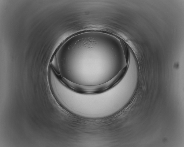 X0000096981283200802151322