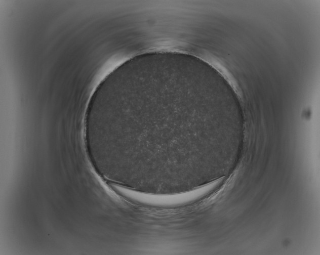 X0000096981285200802151322