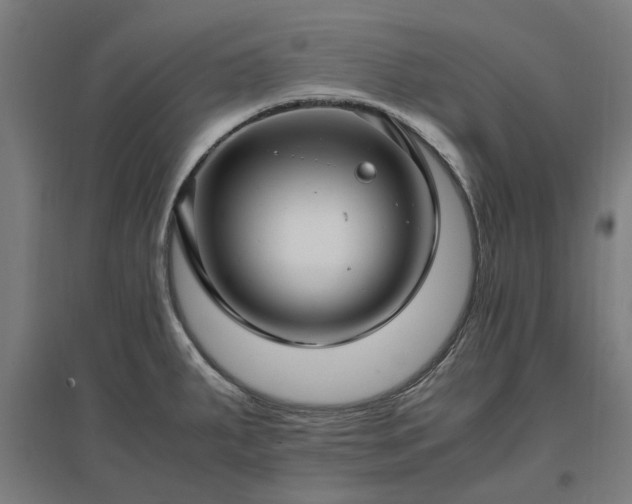 X0000096981287200802151322