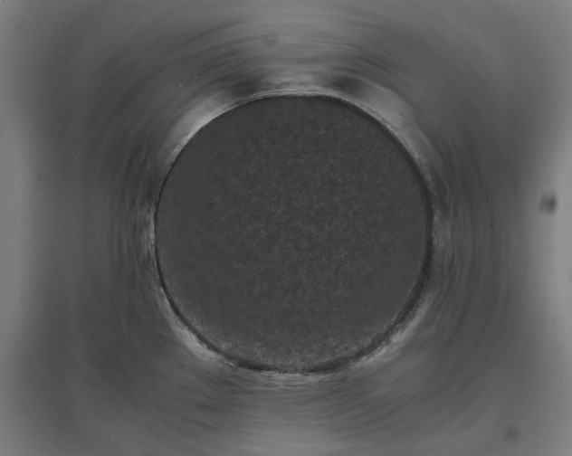X0000096981289200802151322