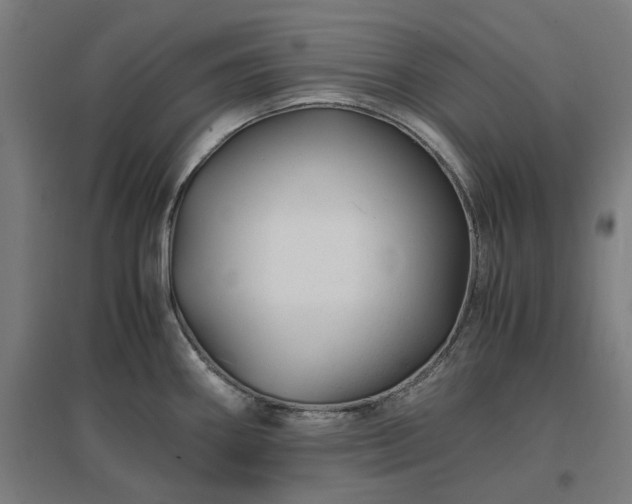 X0000096981290200802151322