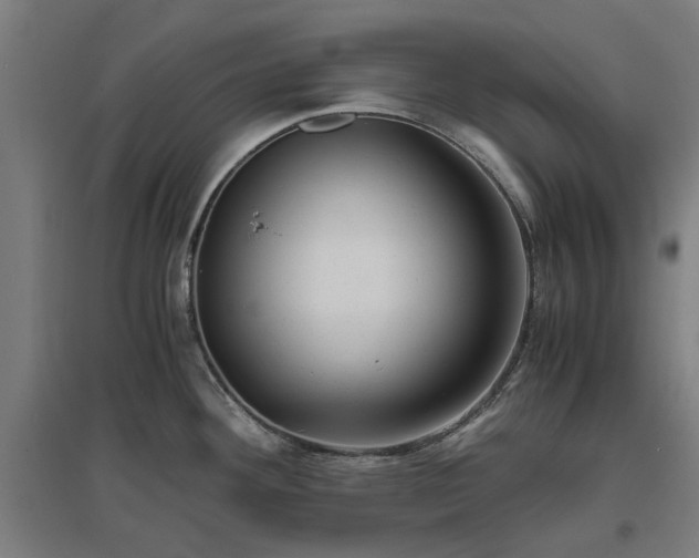 X0000096981292200802151322