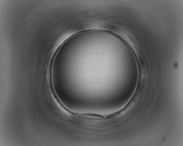X0000096981293200802151322