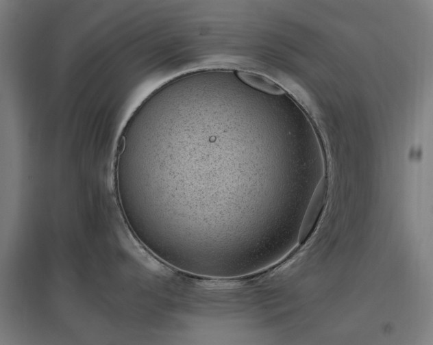 X0000096981296200802151322
