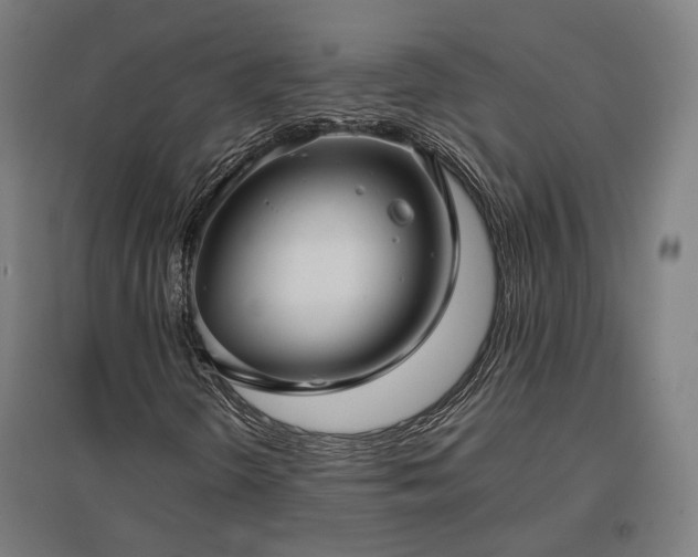 X0000096981298200802151321