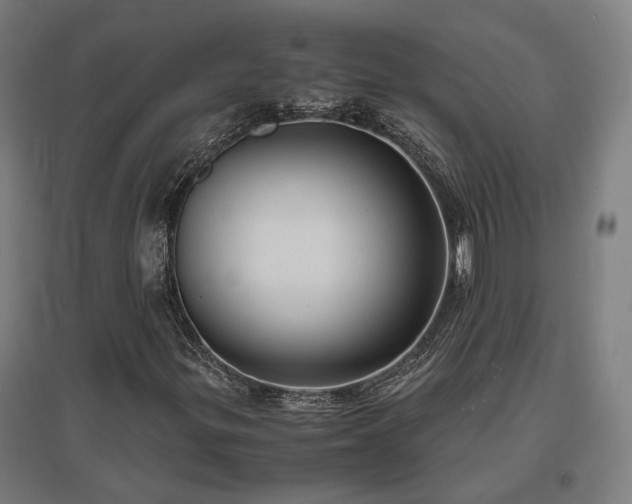 X0000096981299200802151321
