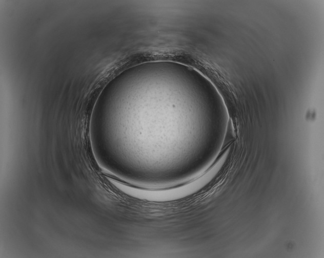 X0000096981300200802151321